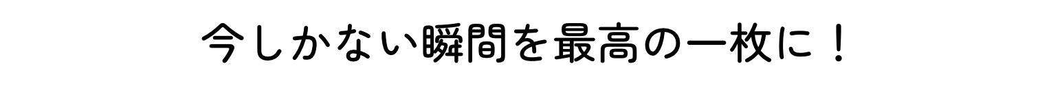 上上もん屋 ご購入もレンタルも！常時40枚以上の品揃え！